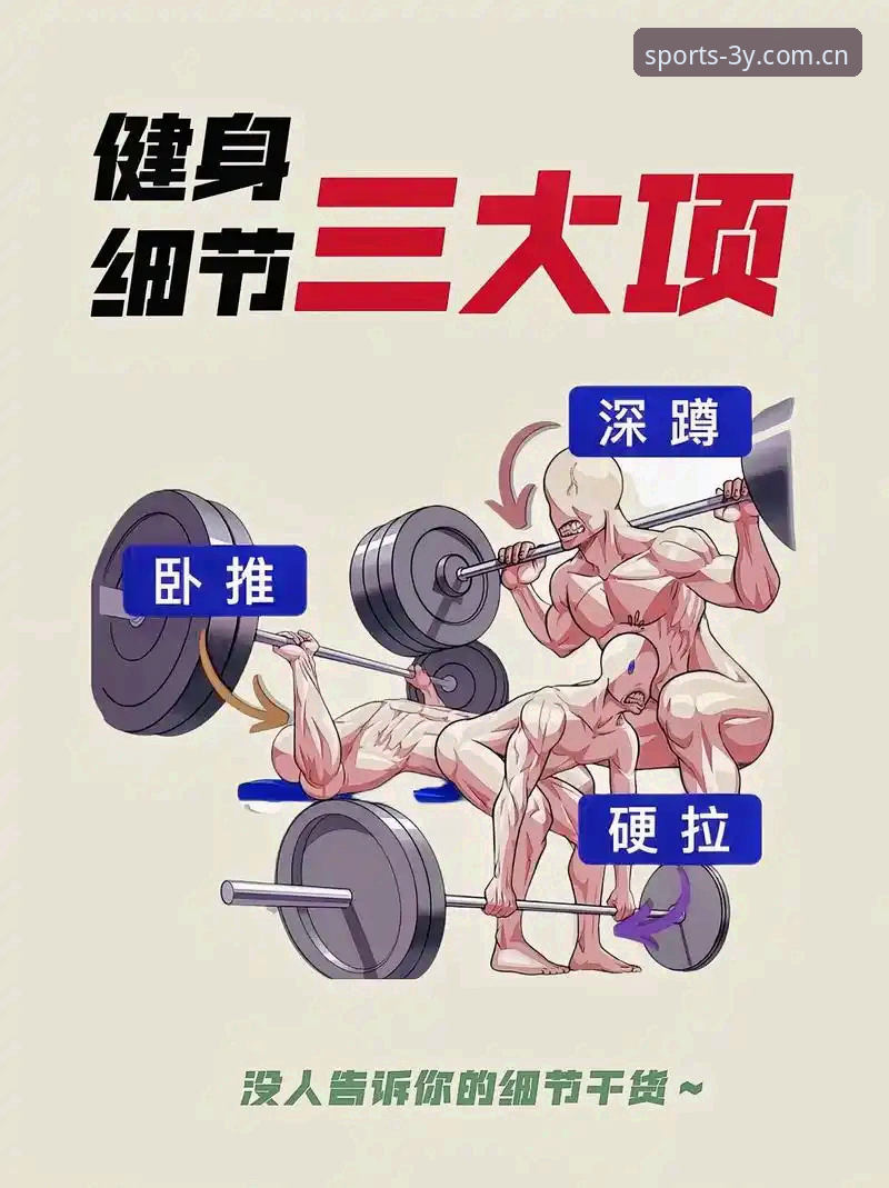 高效玩转三亿体育官网的五大实用技巧，新手必备指南